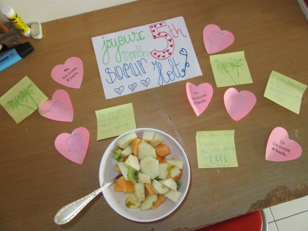 sr hootini is so cute